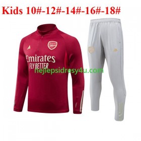 Tréninkový Mikina Soupravy Arsenal Dětské Červené 2023/24